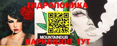 индика Кунгур