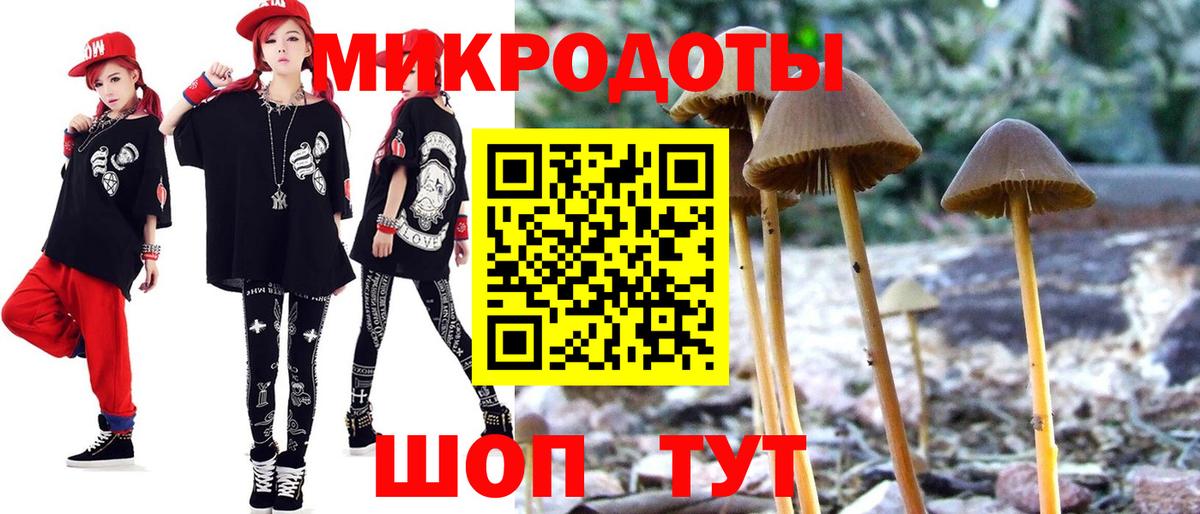Галлюциногенные грибы GOLDEN TEACHER  Вход с VPN  Северодвинск 